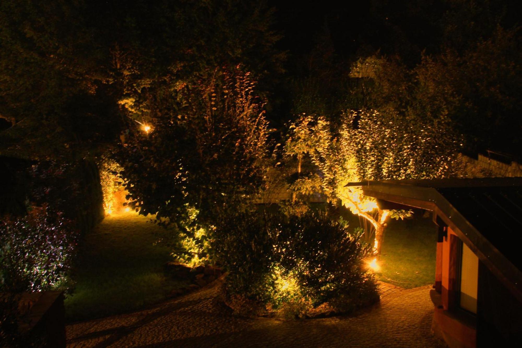 Ferienwohnung Altschloss Eppenbrunn Buitenkant foto